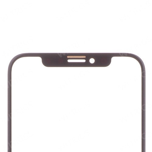 OEM Front Glass for iPhone X Space Gray